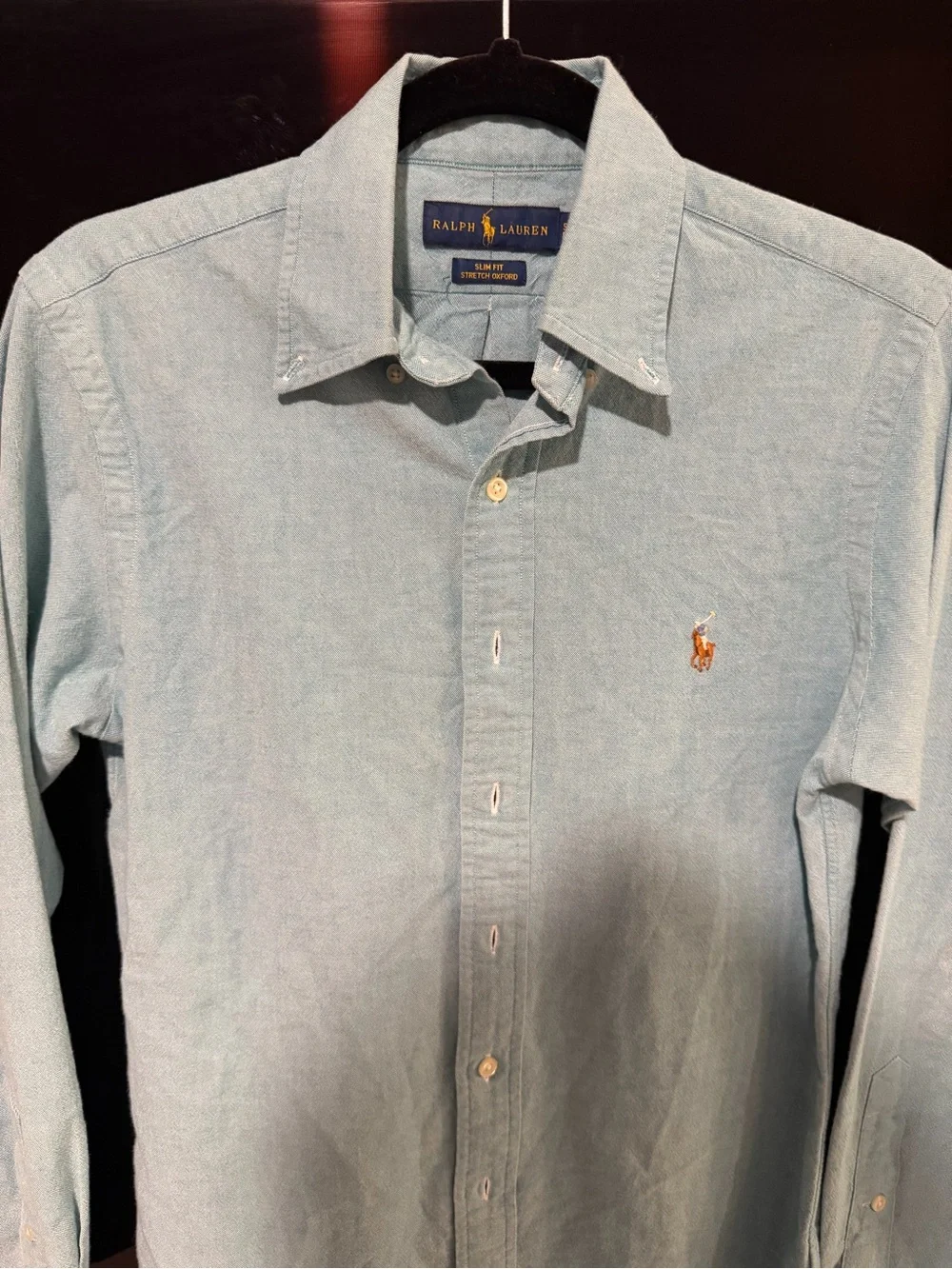 Polo by Ralph Lauren Light Blue Button-Down Shirt with Embroidered Pony